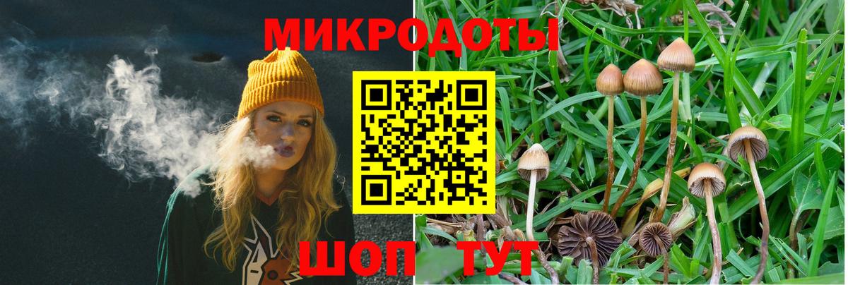 Кстово  Псилоцибиновые грибы Psilocybine cubensis  дарнет шоп  Вход с VPN  Псилоцибиновые грибы ЛСД 